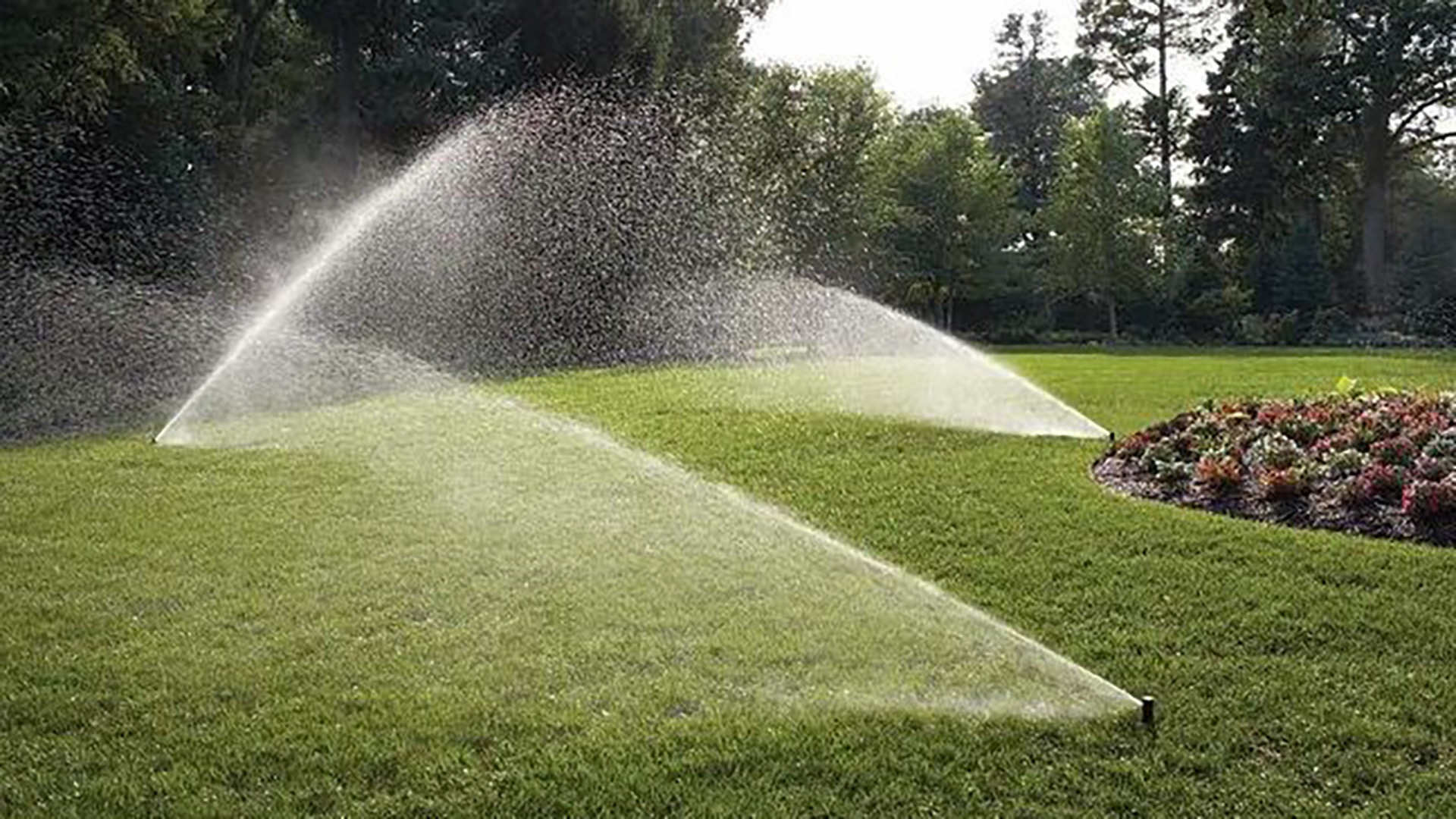 A Simple Monthly Irrigation Check for Your Home & Garden